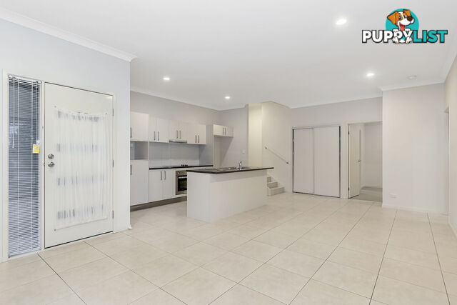 1/29 Filbert Street UPPER COOMERA QLD 4209