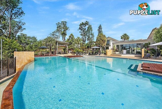 13 Picnic Creek Drive COOMERA QLD 4209