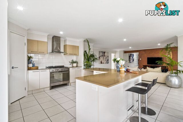 7 Severn Street COOMERA QLD 4209