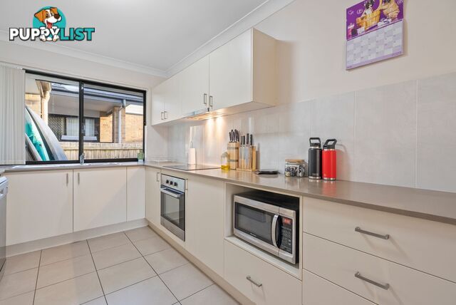 23 Cairnlea Drive PIMPAMA QLD 4209