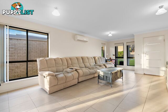 23 Cairnlea Drive PIMPAMA QLD 4209