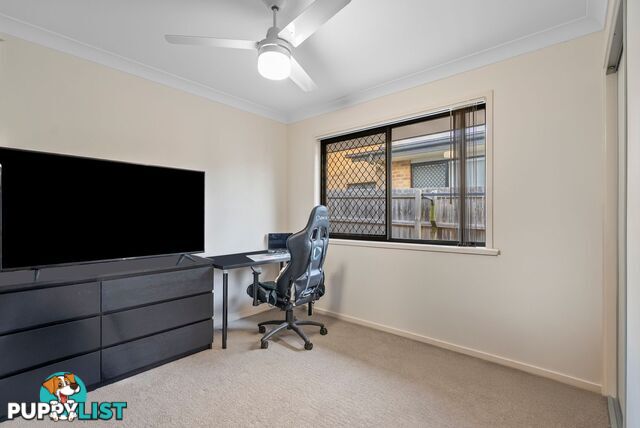 23 Cairnlea Drive PIMPAMA QLD 4209