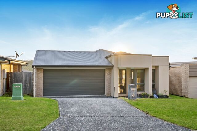 23 Cairnlea Drive PIMPAMA QLD 4209