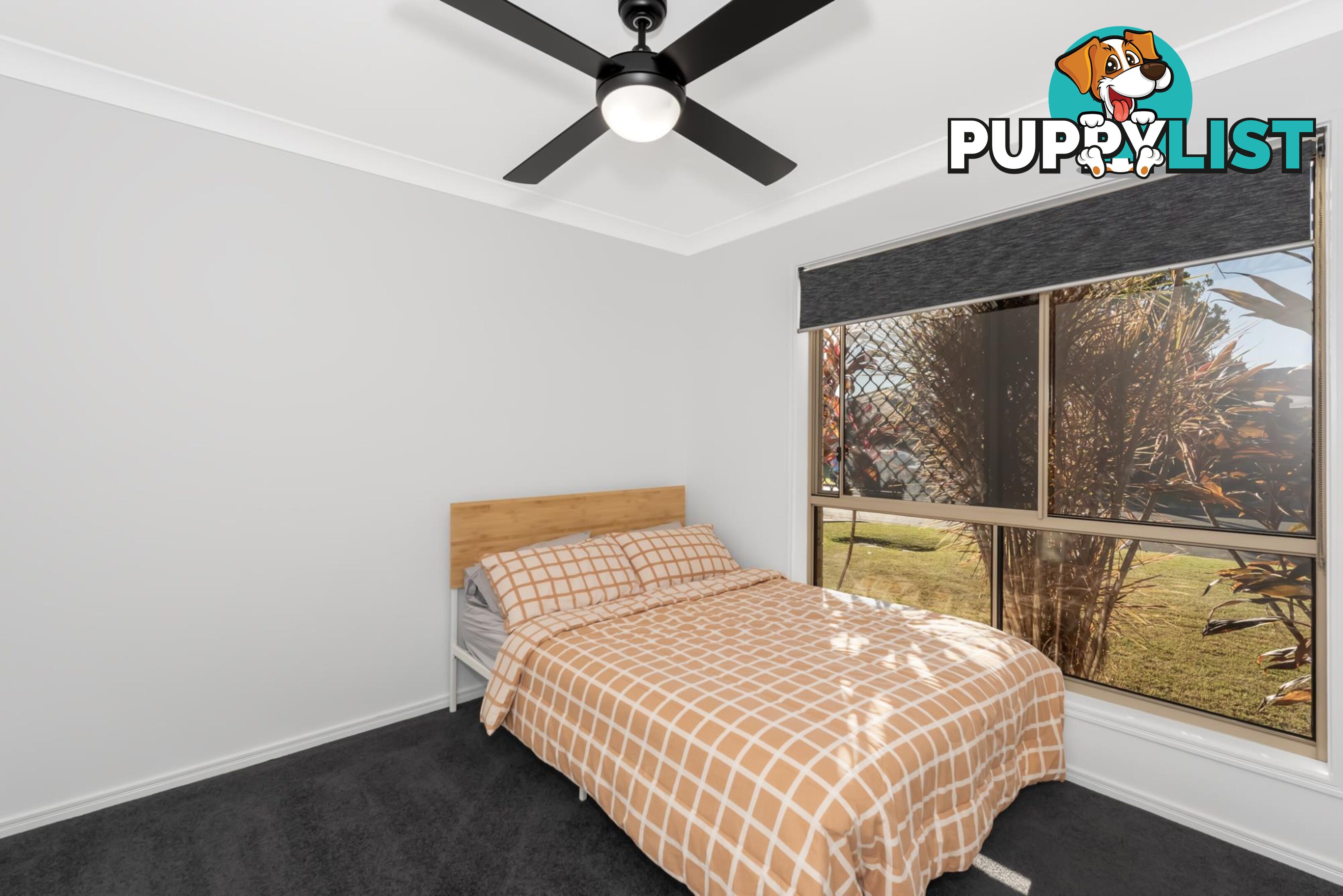 13 Kingair Road UPPER COOMERA QLD 4209