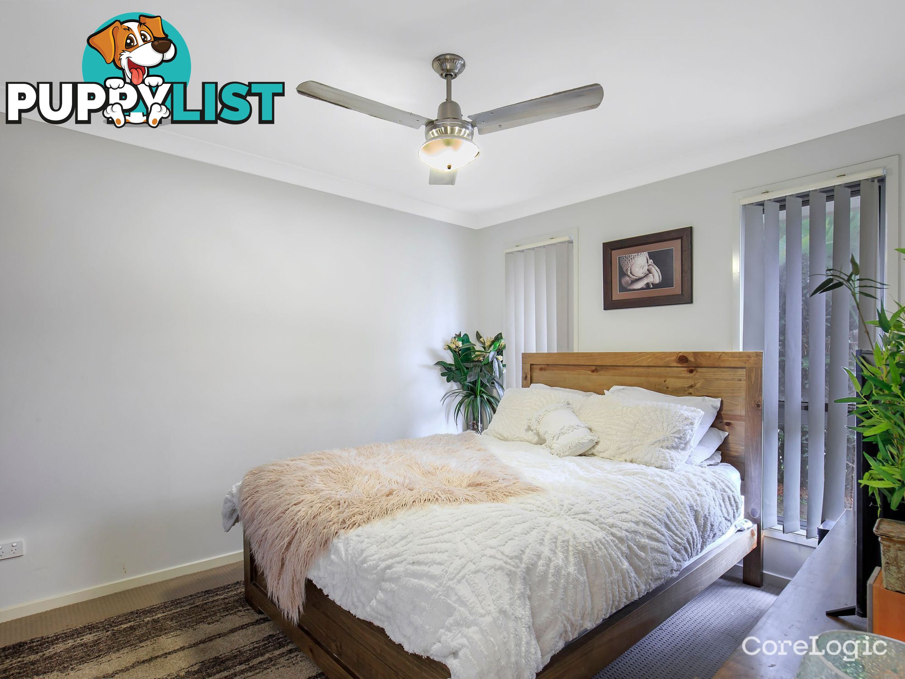 8 Poole Court CABOOLTURE QLD 4510