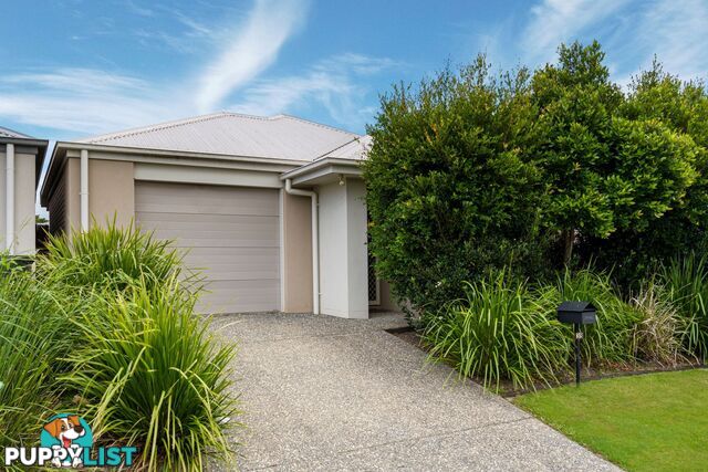 38 Fountain Street PIMPAMA QLD 4209