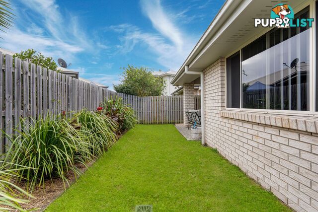 38 Fountain Street PIMPAMA QLD 4209