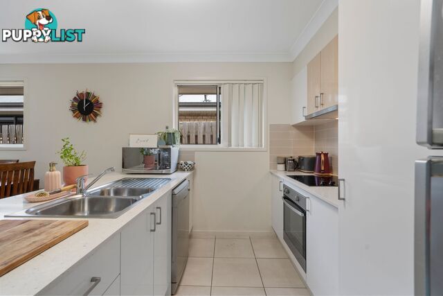 38 Fountain Street PIMPAMA QLD 4209