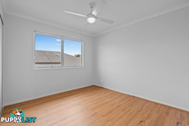 71 Girtin Circuit PIMPAMA QLD 4209