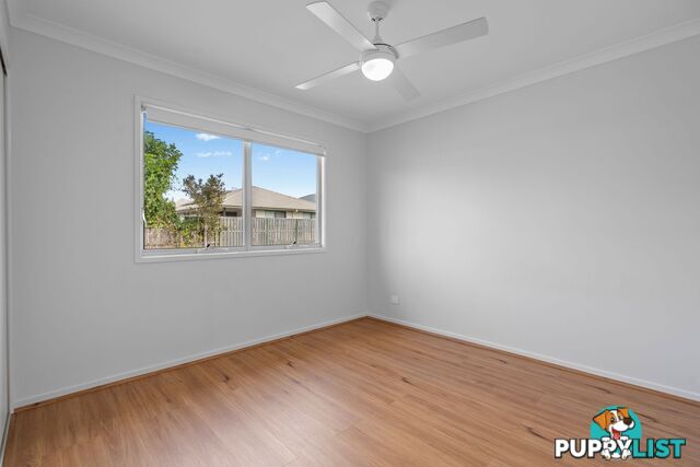 71 Girtin Circuit PIMPAMA QLD 4209