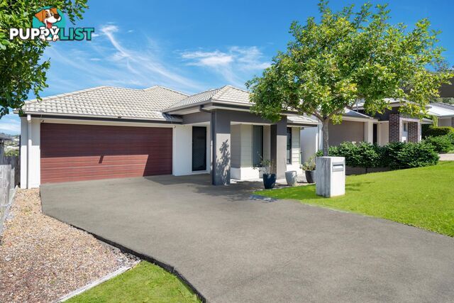 12 Gresswell Crescent UPPER COOMERA QLD 4209