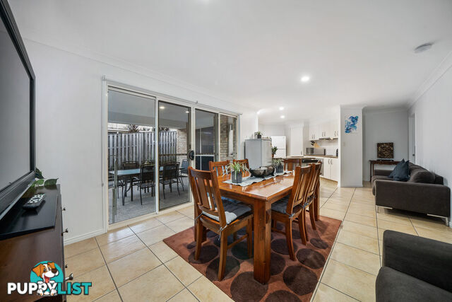 83 Annabelle Crescent UPPER COOMERA QLD 4209