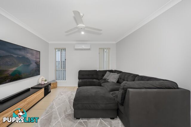 14 Manassa Street UPPER COOMERA QLD 4209