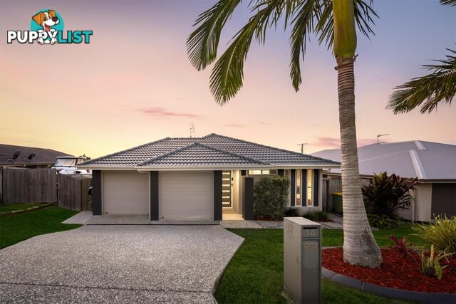 14 Manassa Street UPPER COOMERA QLD 4209