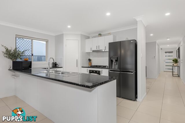 14 Manassa Street UPPER COOMERA QLD 4209