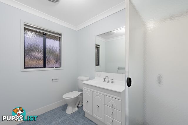 8 Glasswing Drive UPPER COOMERA QLD 4209