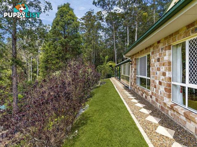 14 Newlands Court MOUNT NATHAN QLD 4211