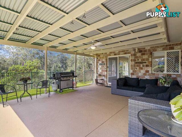 14 Newlands Court MOUNT NATHAN QLD 4211