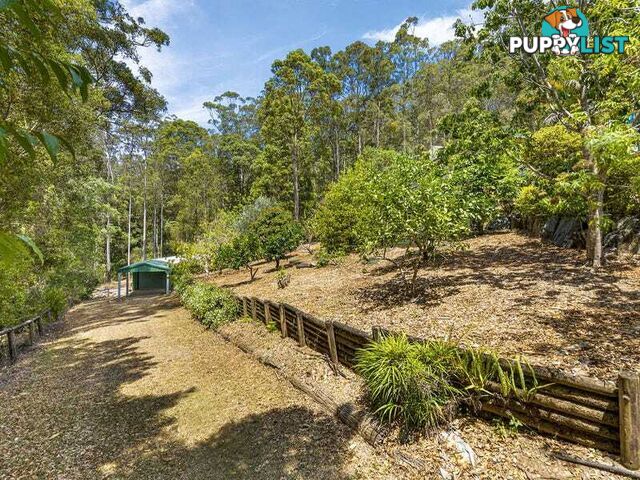 14 Newlands Court MOUNT NATHAN QLD 4211