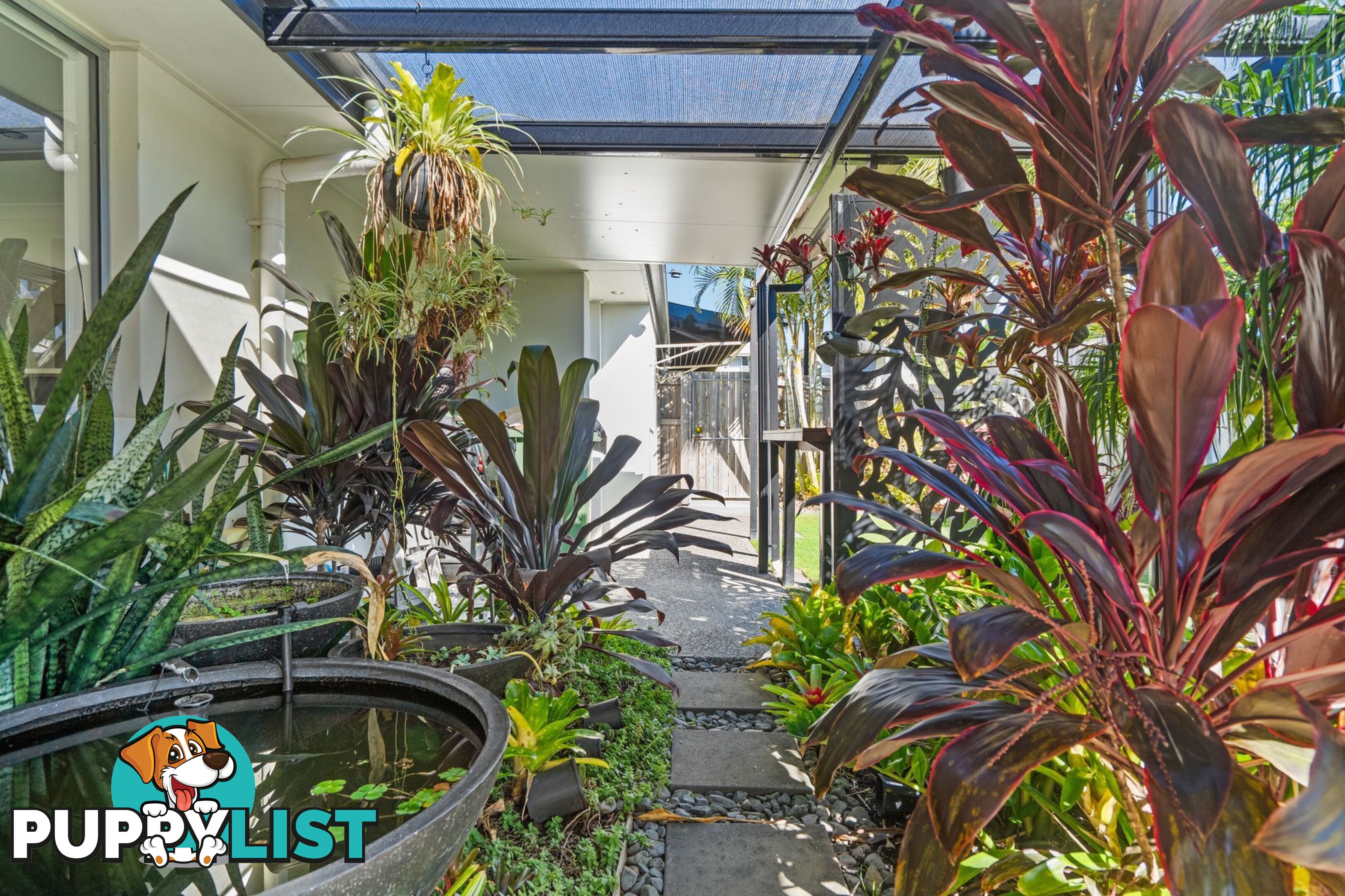 7 Benjamin Street PIMPAMA QLD 4209