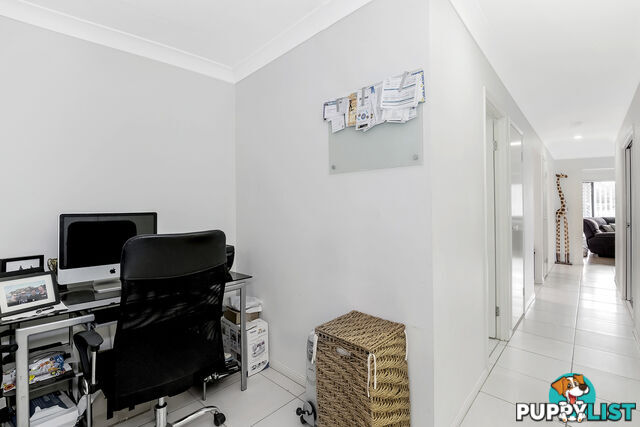 22 Murray Circuit UPPER COOMERA QLD 4209