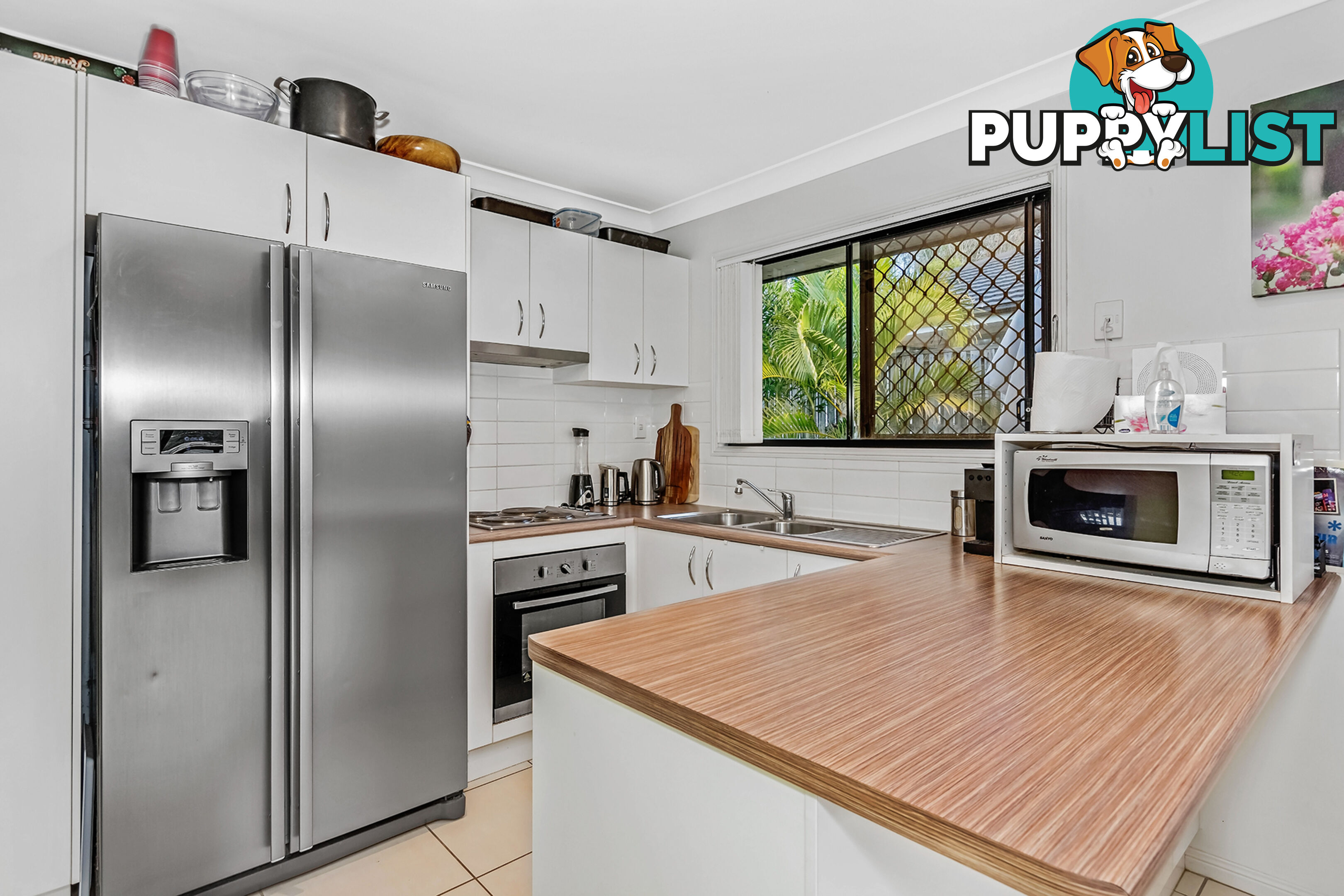 22 Murray Circuit UPPER COOMERA QLD 4209