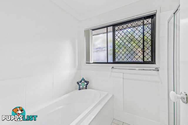 22 Murray Circuit UPPER COOMERA QLD 4209