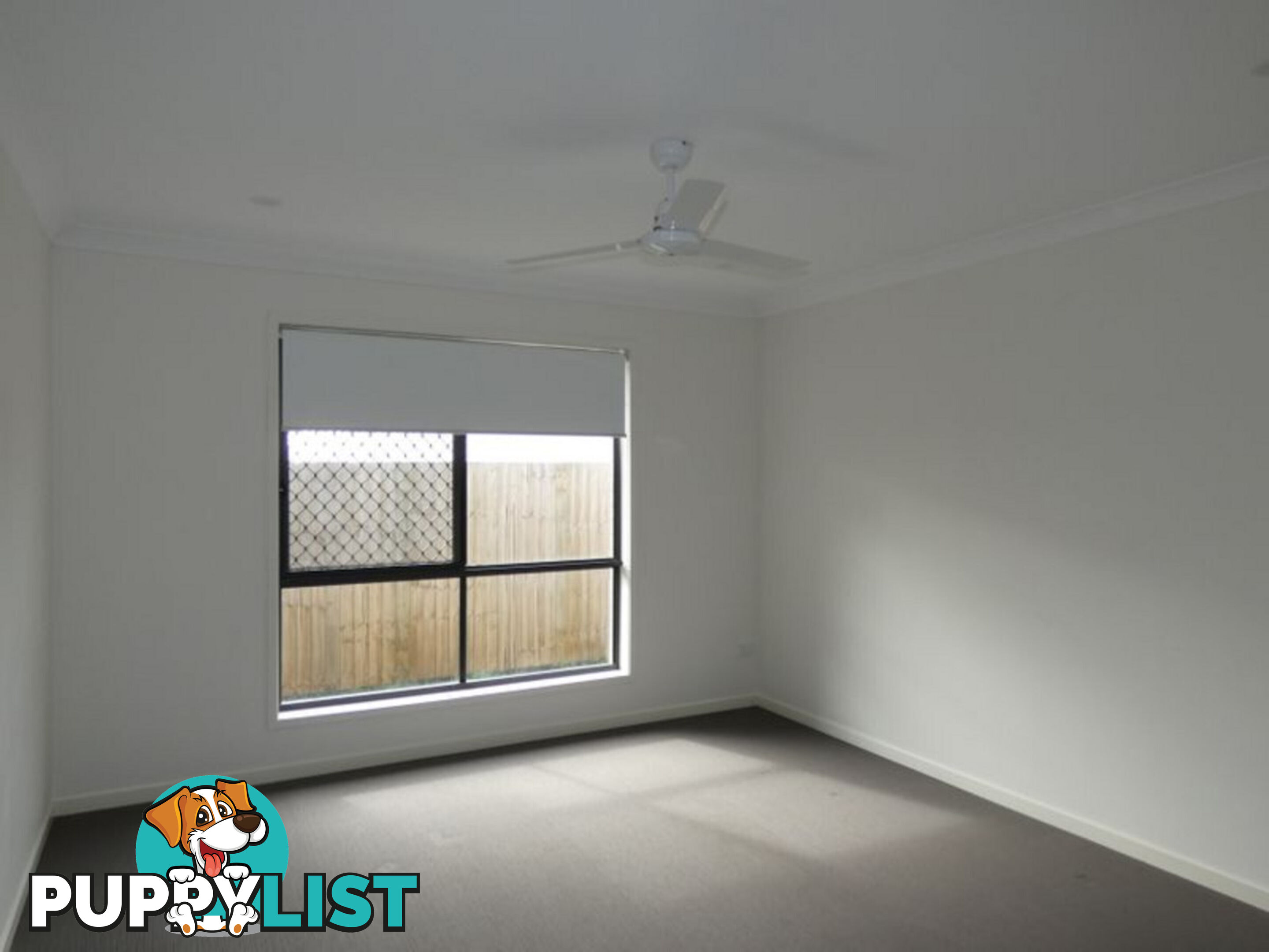 12 Ferngrove Street PIMPAMA QLD 4209