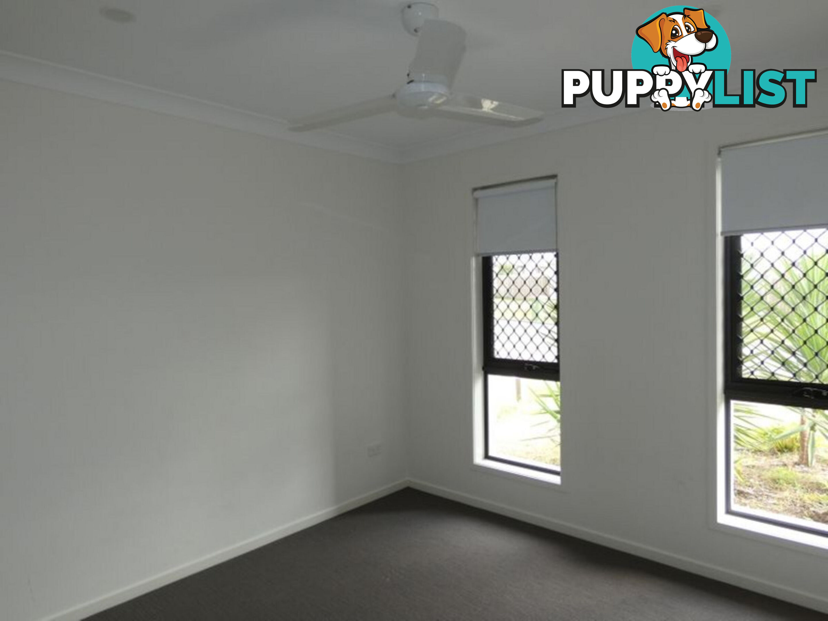 12 Ferngrove Street PIMPAMA QLD 4209