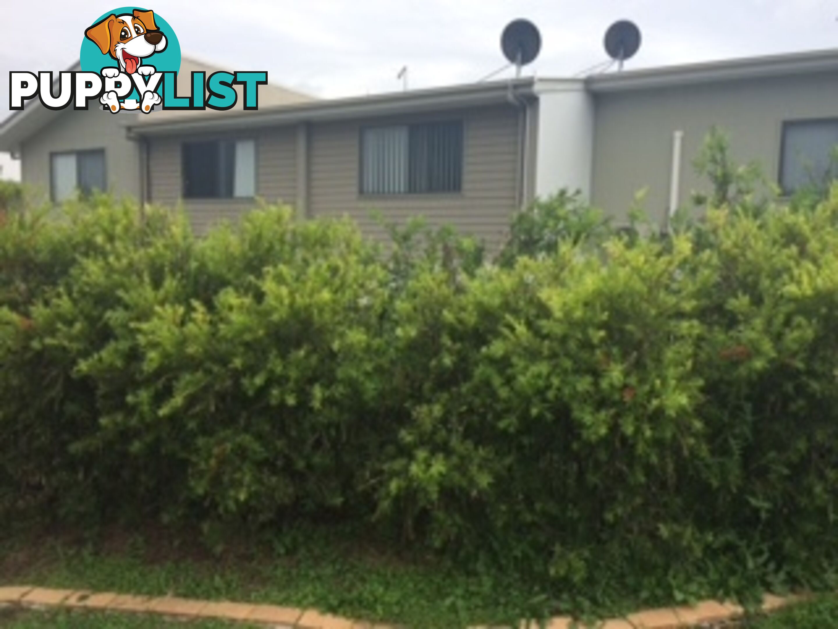 2/2 Tayla Street PIMPAMA QLD 4209