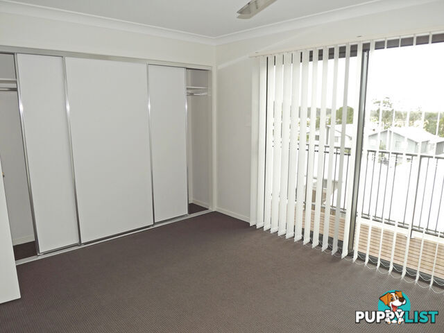 2/2 Tayla Street PIMPAMA QLD 4209