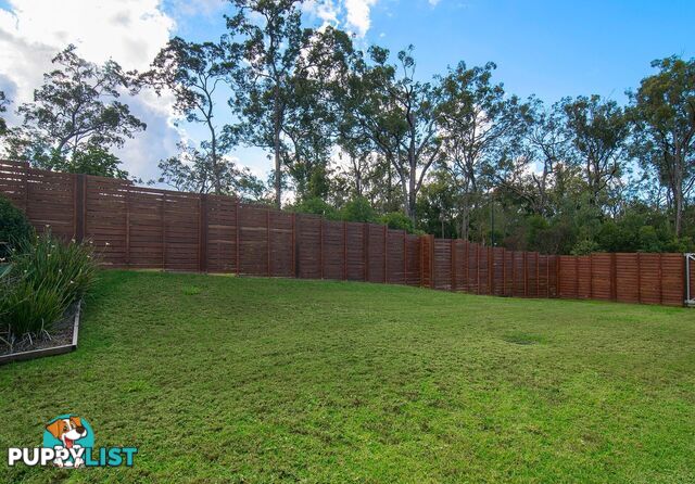 21 Red Gum Terrace COOMERA QLD 4209