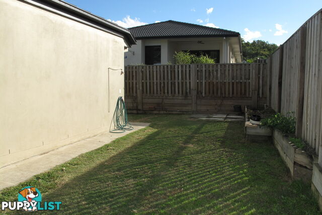 3 Dorretti Circuit UPPER COOMERA QLD 4209