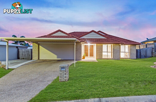 4 Ridgecrop Street UPPER COOMERA QLD 4209