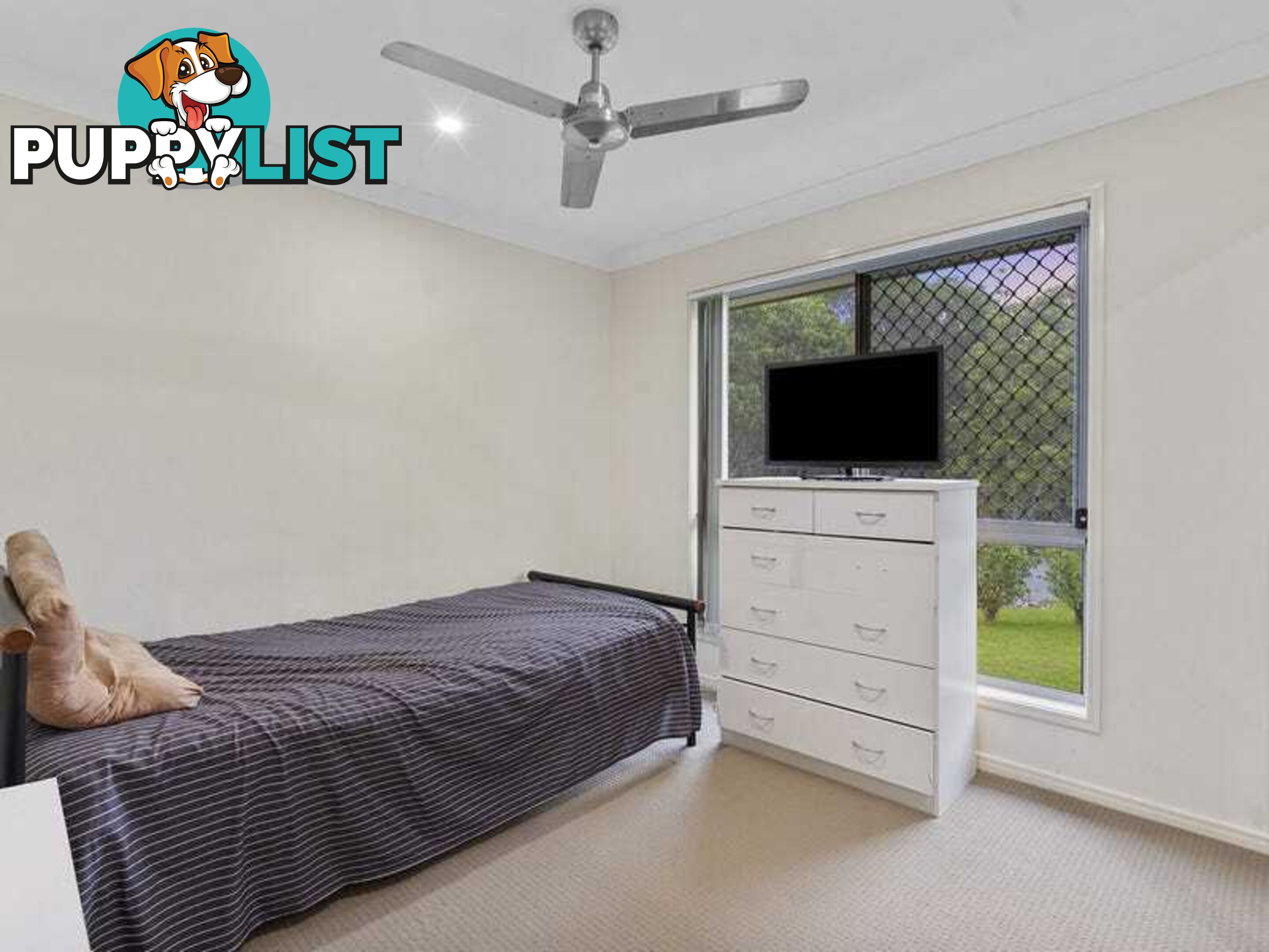 19 Cypress Circuit COOMERA QLD 4209