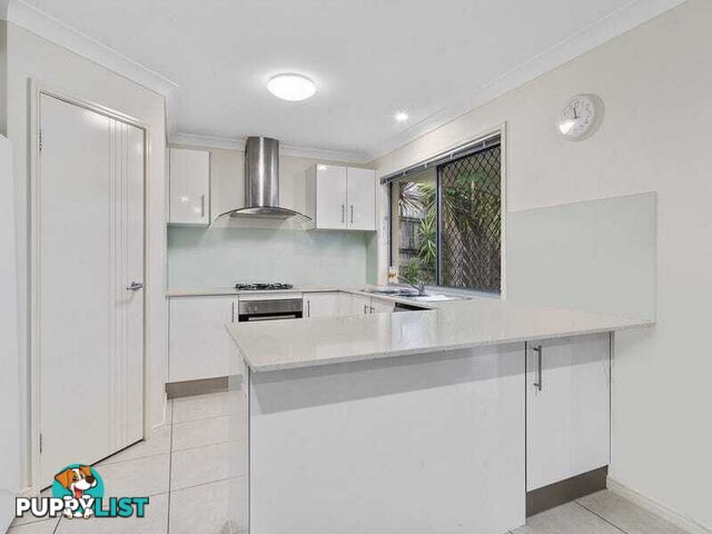 19 Cypress Circuit COOMERA QLD 4209