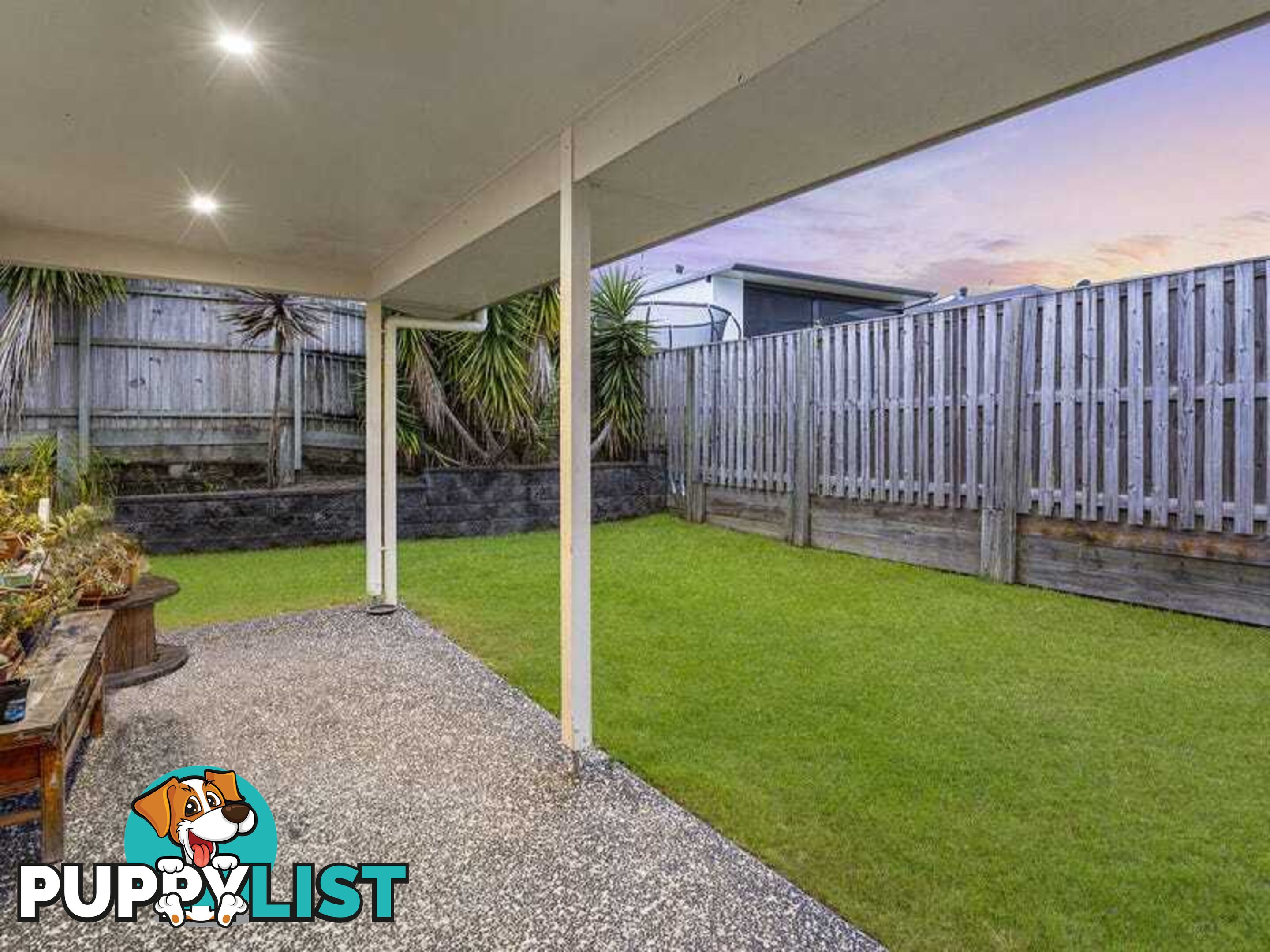 19 Cypress Circuit COOMERA QLD 4209