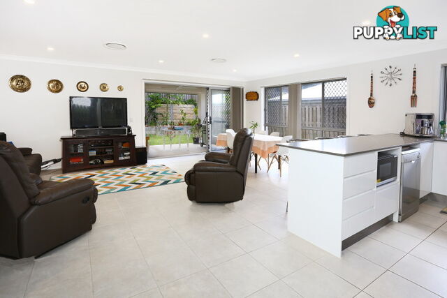 30 Dorretti Circuit UPPER COOMERA QLD 4209