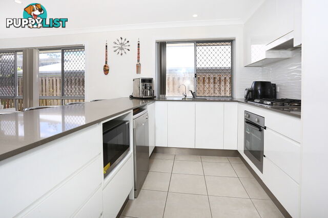 30 Dorretti Circuit UPPER COOMERA QLD 4209