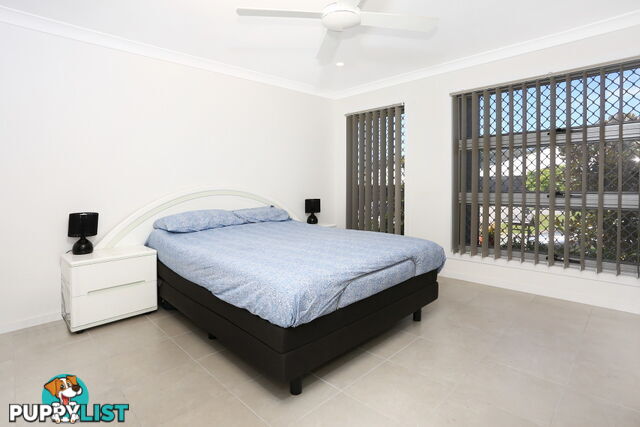 30 Dorretti Circuit UPPER COOMERA QLD 4209