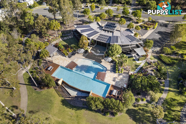 17 Severn Street COOMERA QLD 4209