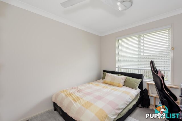 6 Stinson Circuit COOMERA QLD 4209