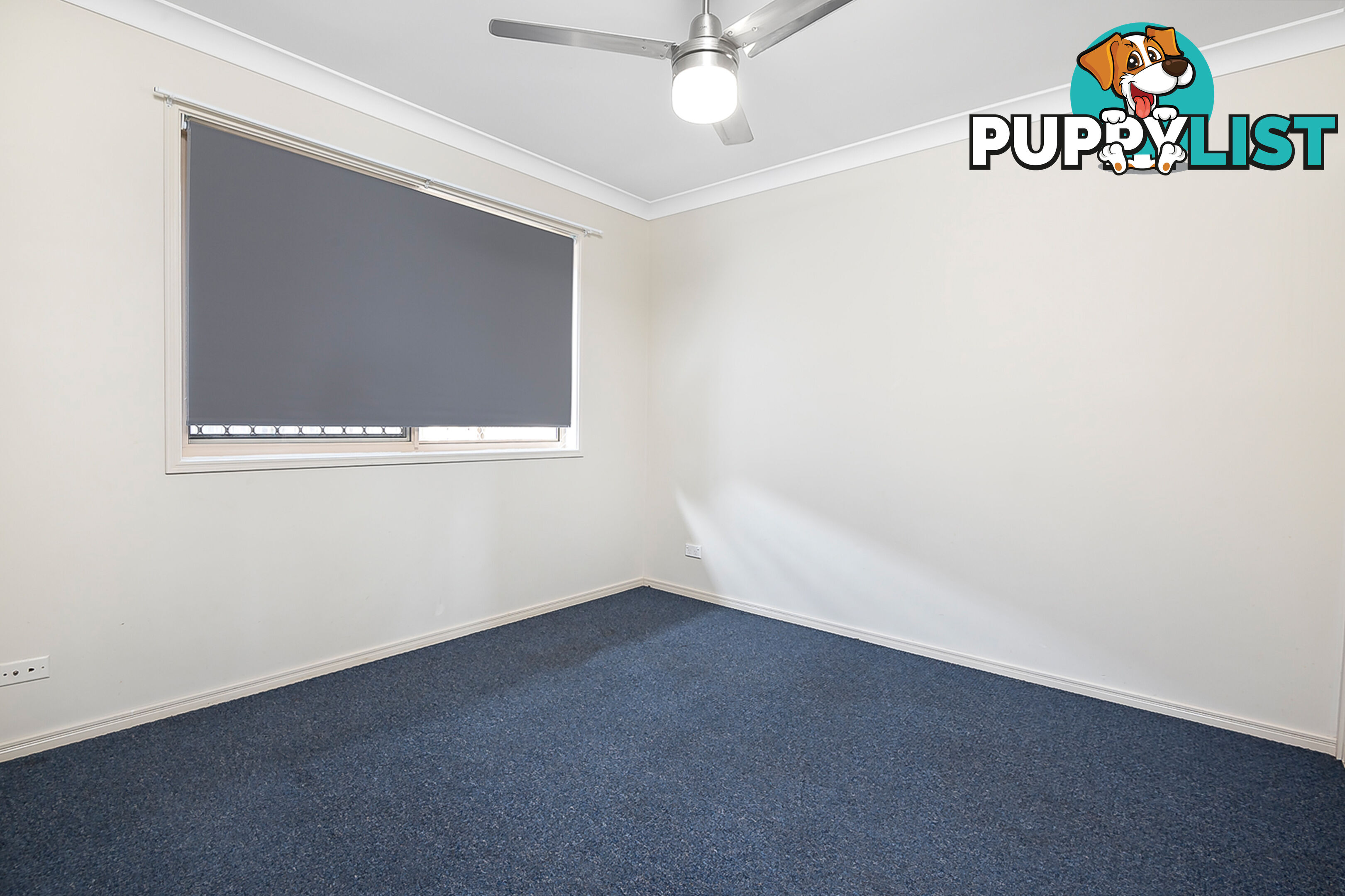 19 Jaxson Terrace PIMPAMA QLD 4209