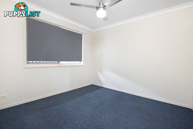 19 Jaxson Terrace PIMPAMA QLD 4209