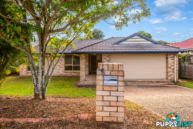 19 Jaxson Terrace PIMPAMA QLD 4209