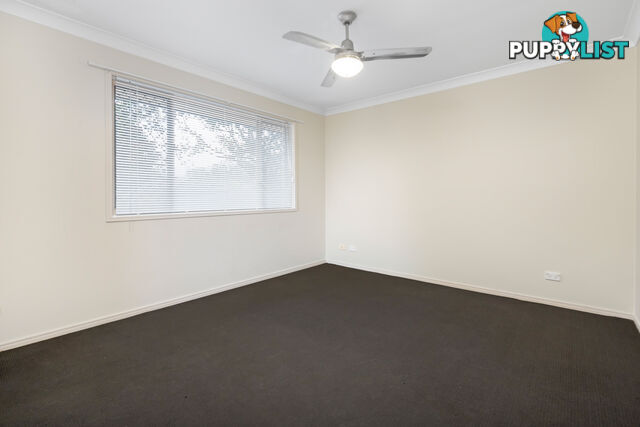 19 Jaxson Terrace PIMPAMA QLD 4209