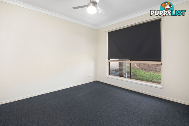 19 Jaxson Terrace PIMPAMA QLD 4209