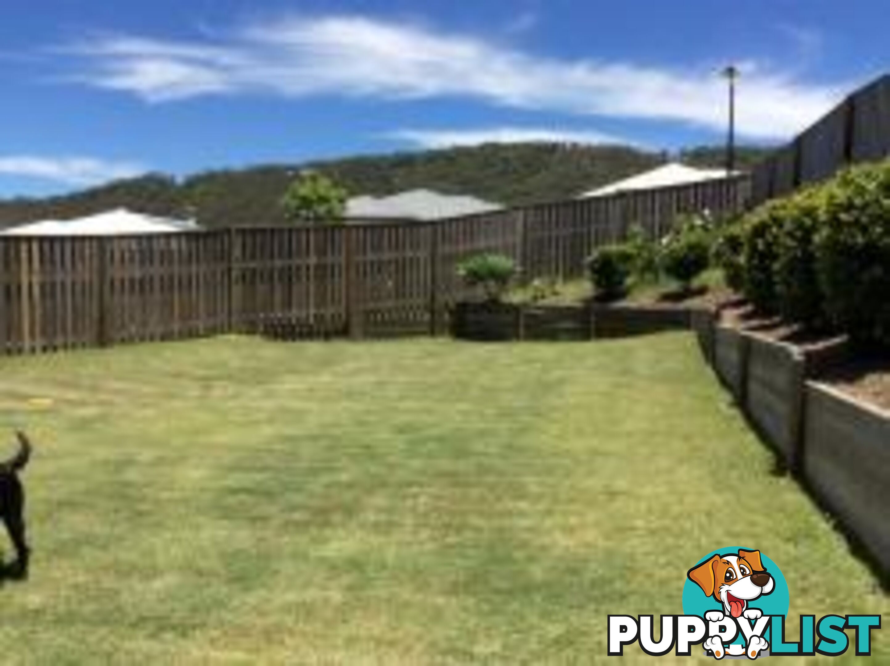 2 Wingham Lane UPPER COOMERA QLD 4209