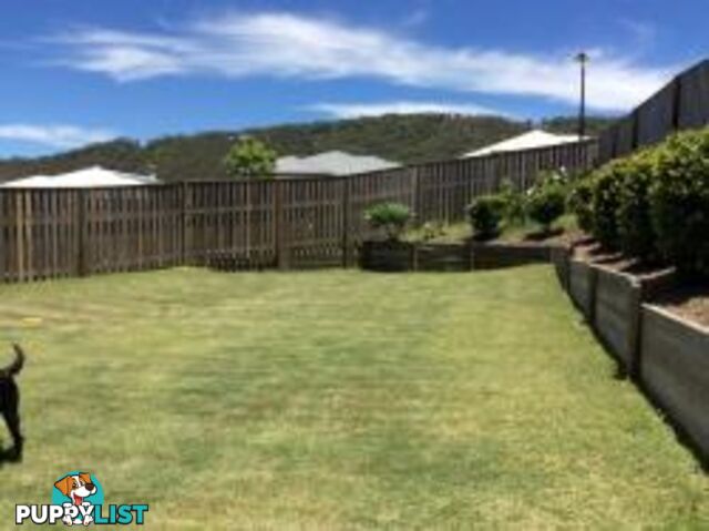 2 Wingham Lane UPPER COOMERA QLD 4209