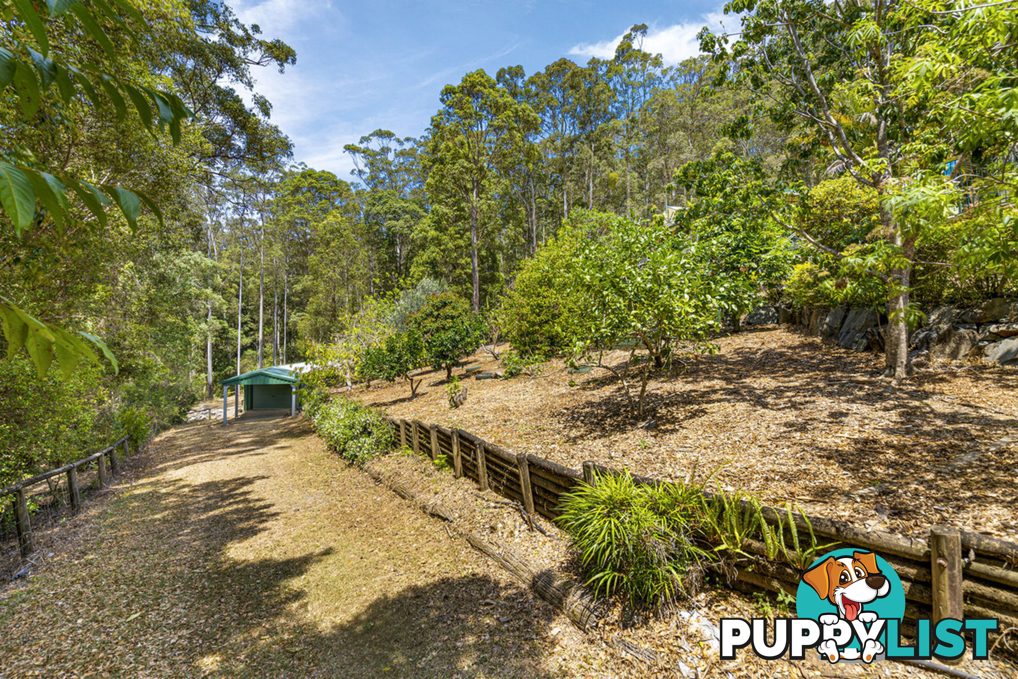 14 Newlands Court MOUNT NATHAN QLD 4211